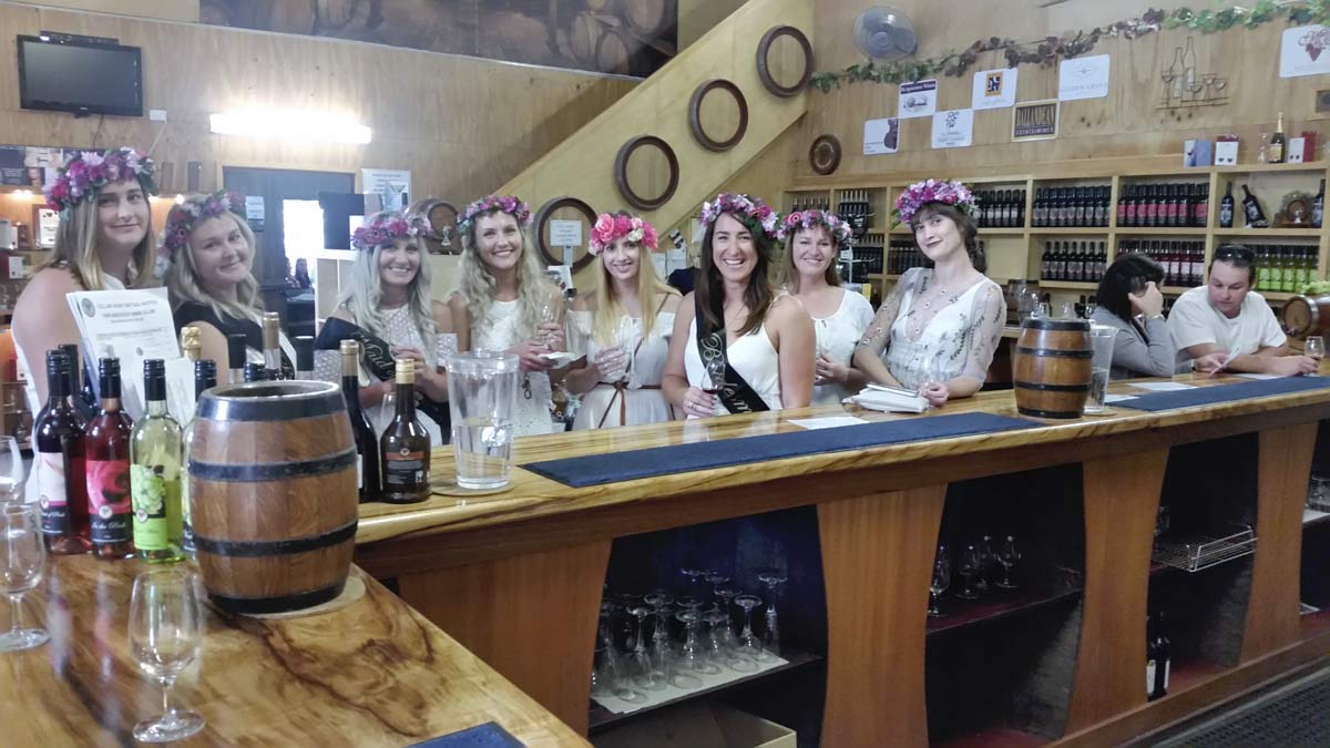Hens Day - Mt Tamborine Wine Tour - Tic Tac Tours